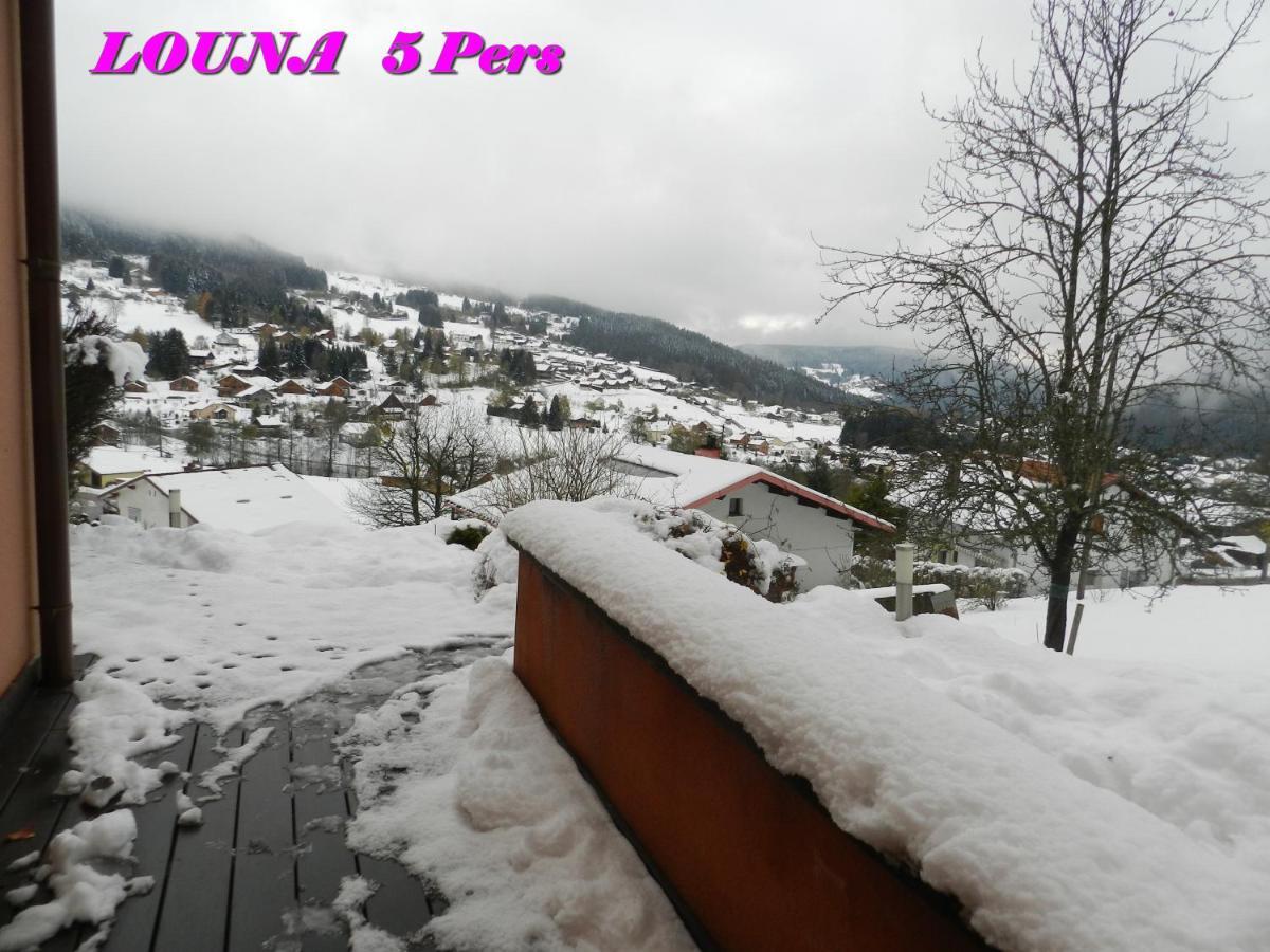 Appartements 5 Personnes Maya Et Louna Xonrupt-Longemer Exterior foto